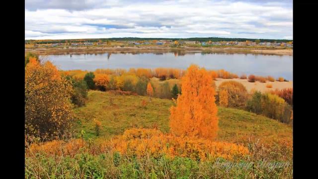 Дорога в деревню Орлецы