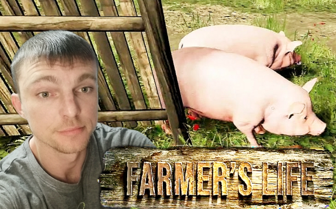 ТРИ ПОРОСЕНКА # Farmer's Life # симулятор # 31