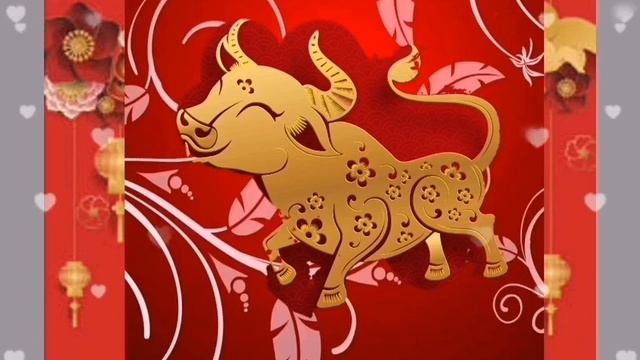 Китайский новый год Поздравление смотреть онлайн