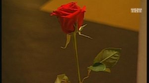 Ночной эфир 1580 дня