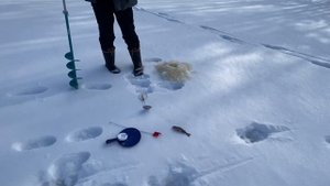 Весенняя рыбалка на Севере 2022. Ловля щуки