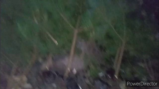 рыбалка на фидер с ночовкой на берегу реки Печора укостра #родники