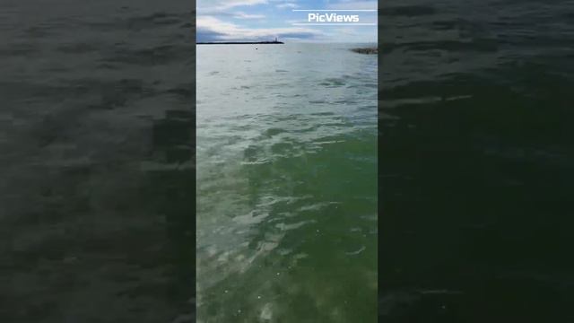 Адлер сегодня, Сочи! Погода, море и пляж в Адлере в мае 2024. Сочи сегодня 6 мая 2024. Отдых в Сочи