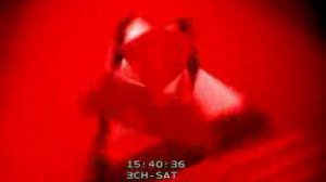 Вилли Токарев