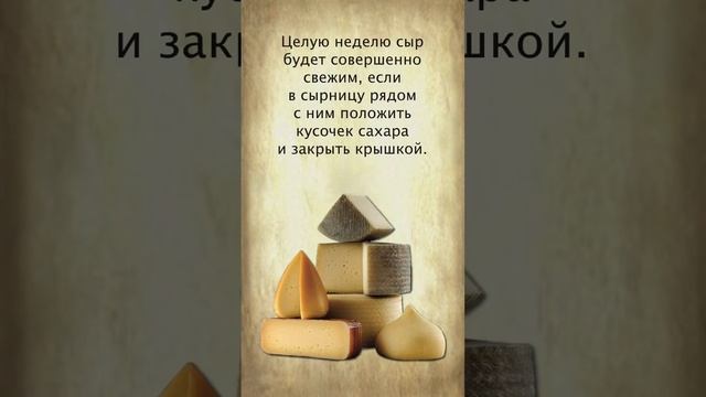 Как хранить сыр