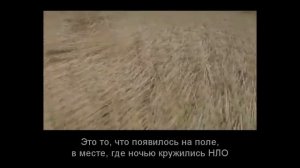 НЛО рисует круги на полях ⁄ UFO draws the crop circles.