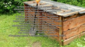 Как приготовить качественный компост на даче