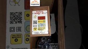 Инкубатор БЛИЦ на 48 яиц