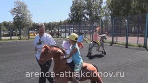 Лошадки «Механические понициклы»