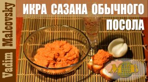 Икра сазана обычного посола. Как посолить икру сазана. Мальковский Вадим