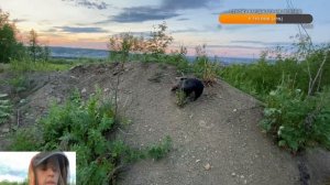 Гуляю с Гошей  (продолжение).