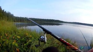 Карась на манку. Рыбалка летом с поплавочной удочкой.