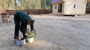 Делаем парник. Садим цветы, кукурузу.