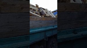 УАЗ самосвал.