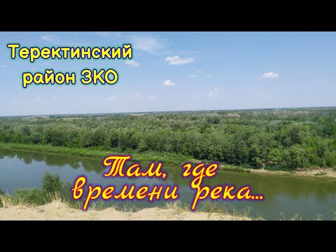 Сауркин яр. Белый лоб. Дубрава. Западно-Казахстанская область.