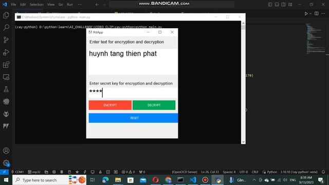 encode and decode python