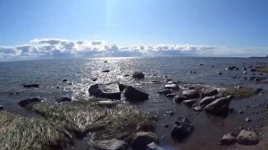 Берег Финского залива в Молодёжном 7.09.2019