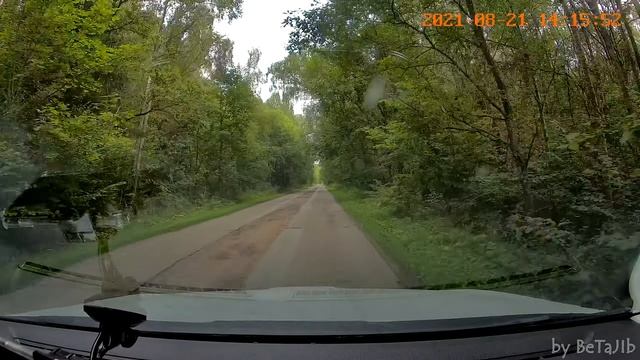 с. Совхоз Чаусово → г. Кремёнки [29Н-173] (август 2021)