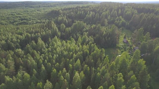 Кяргозеро. Карелия 2022. Облет моего участка с коптера.