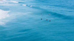 ￼Palm Beach Surfers at 45 degrees