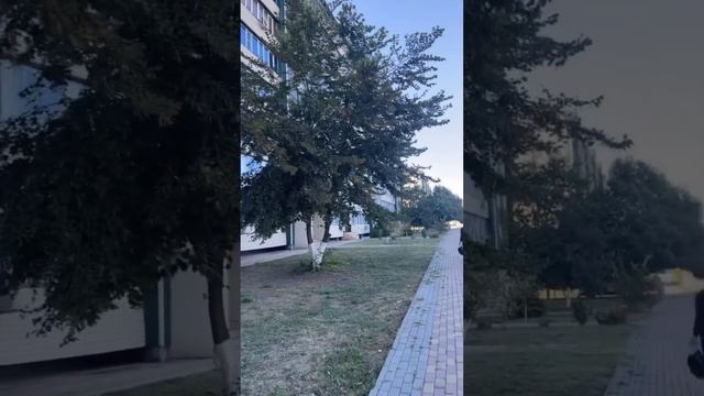 СЕГОДНЯ С ДЕВОЧКАМИ ? УСТРОИЛИ МАСТЕР-КЛАСС ПО КОМПОТАМ ? смотреть онлайн