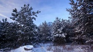 Красота зимы в картинках природы, hd 720p разрешение 1280x720, MPEG4 Video H264 