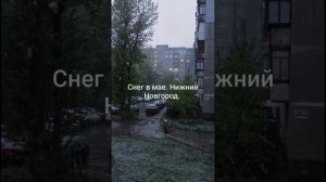 Снег в мае всё сильнее и сильнее. Нижний Новгород.