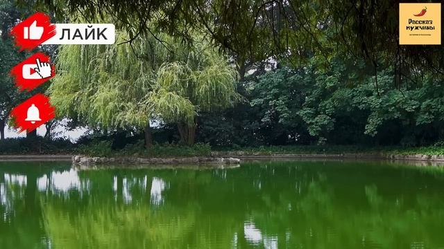 Рассказ мужчины | Измена жены. Жена и её любовник заказали убийство мужа. Месть мужа. История