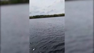Обзор на лодку Хантер 290 Л с НДНД. Реальный обзор. Советуем посмотреть.