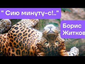 Рассказы про животных. Б.Житков