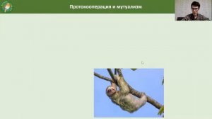 Экологические взаимодействия в природе