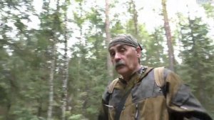 О гоне лосей 2020г 1 часть