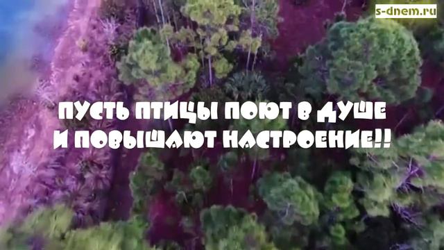 Пожелания хорошего дня. Видео открытка 2020. Красивое видео.