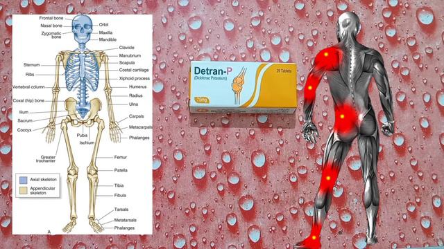 Detran p tablet uses in urdu / detran p tablet side effects смотреть онлайн