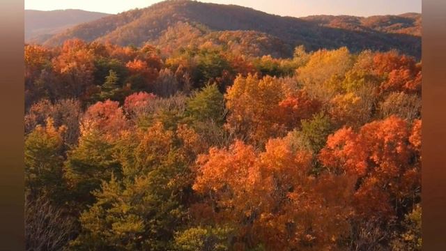 Очень красивая Музыка для Релакса и Отдыха!!!