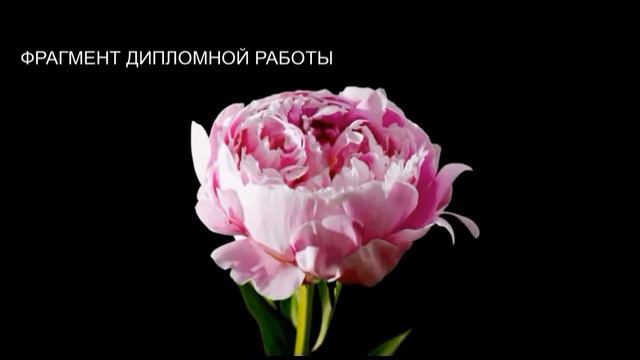 Подготовка к cьёмке фильма в Одессе "Поцелуй Богини""Дипломной работы МГУ студента Петра Шевцова смотреть онлайн