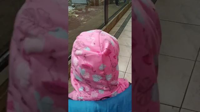 Ленинградский Zoopark😍😍😍Любовь с первого взгляда или есть нюансы?! смотреть онлайн