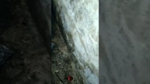 Вибрация при разгоне форд фокус 2