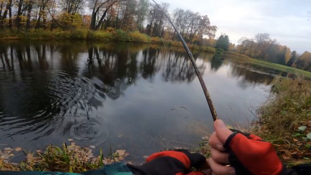 Рыбалка на ЩУКУ В ОКТЯБРЕ.ЛОВЛЯ ЩУКИ НА ВОБЛЕРЫ.Рыбалка на спиннинг 2022 смотреть онлайн