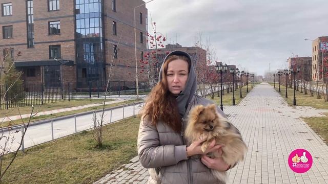 Натуральное питание домашних питомцев. Нужно кормить животных кашей, когда и почему?!