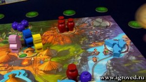 Каменный век Junior. Обзор настольной игры от Игроведа