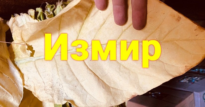 Измир