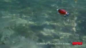 Воблер Rapala Scatter Rap Crank Shallow