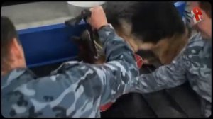 Экскурсия в аэропорт Шереметьево 2