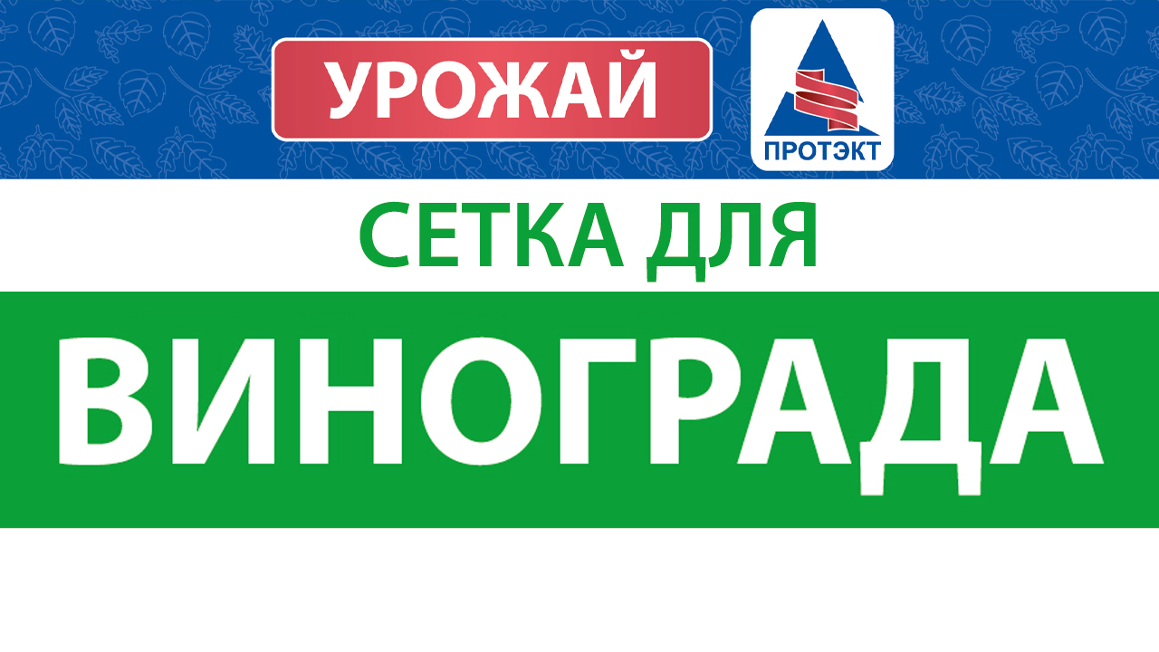 Установка опоры для винограда