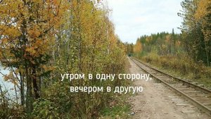 Дрезины "пионерки" Кудемской узкоколейной железной дороги