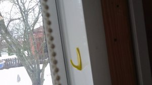 Белка в кормушке 