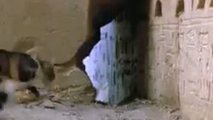 Кошки египетские в древнем храме