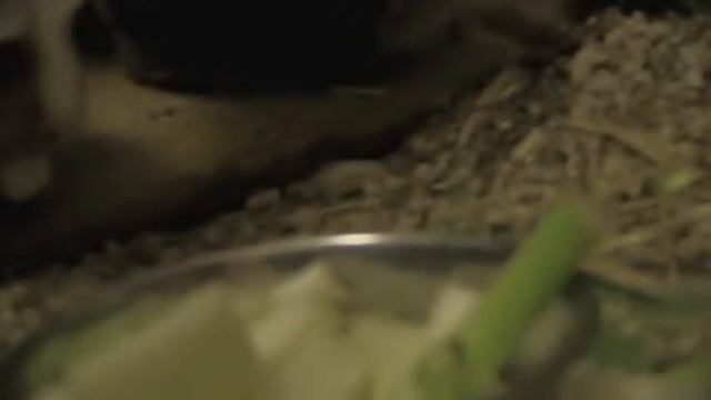 Canon XA10- Cinema Mode смотреть онлайн