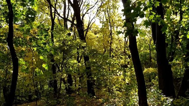 9 октября-ДЕНЬ ИОАННА БОГОСЛОВА.Что нужно сделать.Народные приметы